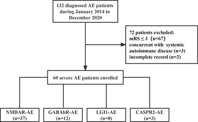 Clinical Features, Treatment, and Prognostic Factors in Neuronal Surface Antibody-Mediated Severe Autoimmune Encephalitis